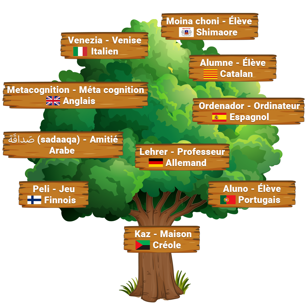 Arbre Albi