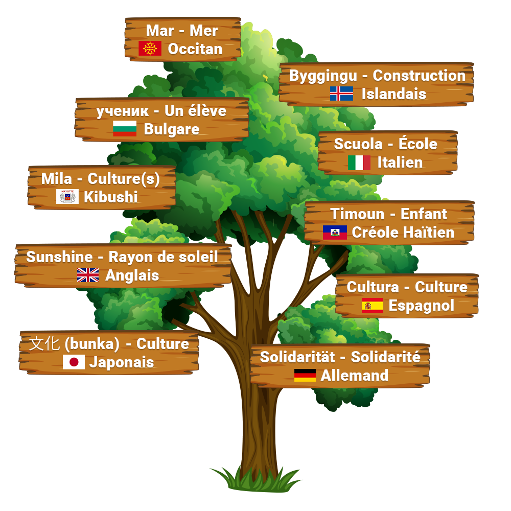 Arbre Tarbes