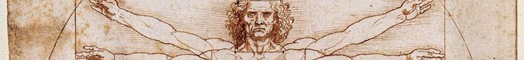 Bandeau_Licence_Sciences_et_Humanités_L’Homme_de_Vitruve