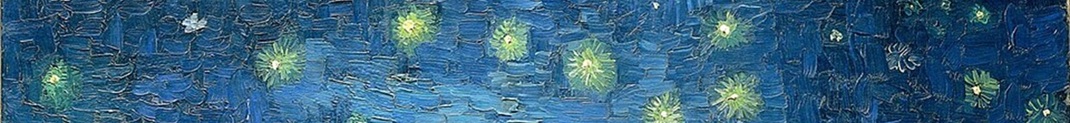 Bandeau_Master_Psychologie_La_Nuit_etoilee_sur_le_Rhone