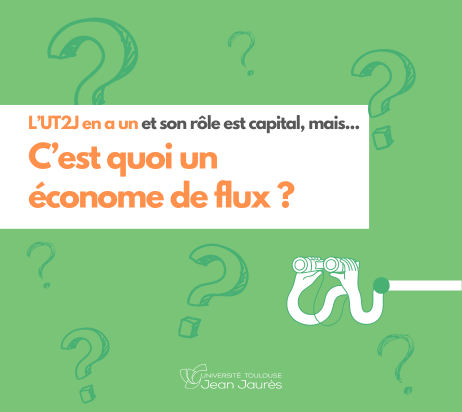 Econome flux vignette