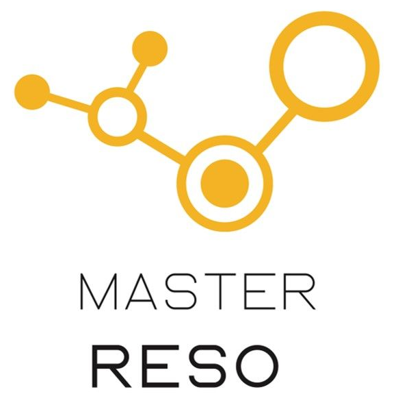 Image logo Master RESO
