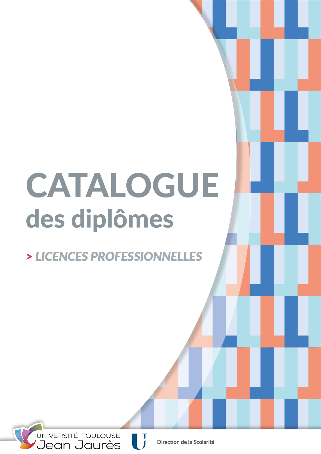 Catalogue Licence professionnelle